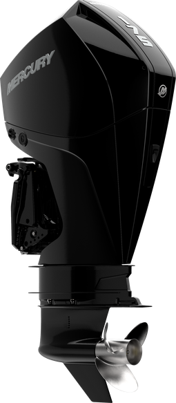 Bild 1 för F175 L/XL EFI DTS V6